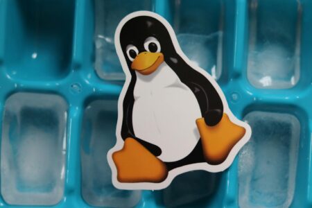 linux tux penguin mascot cutout lying on a tray with ice cubes